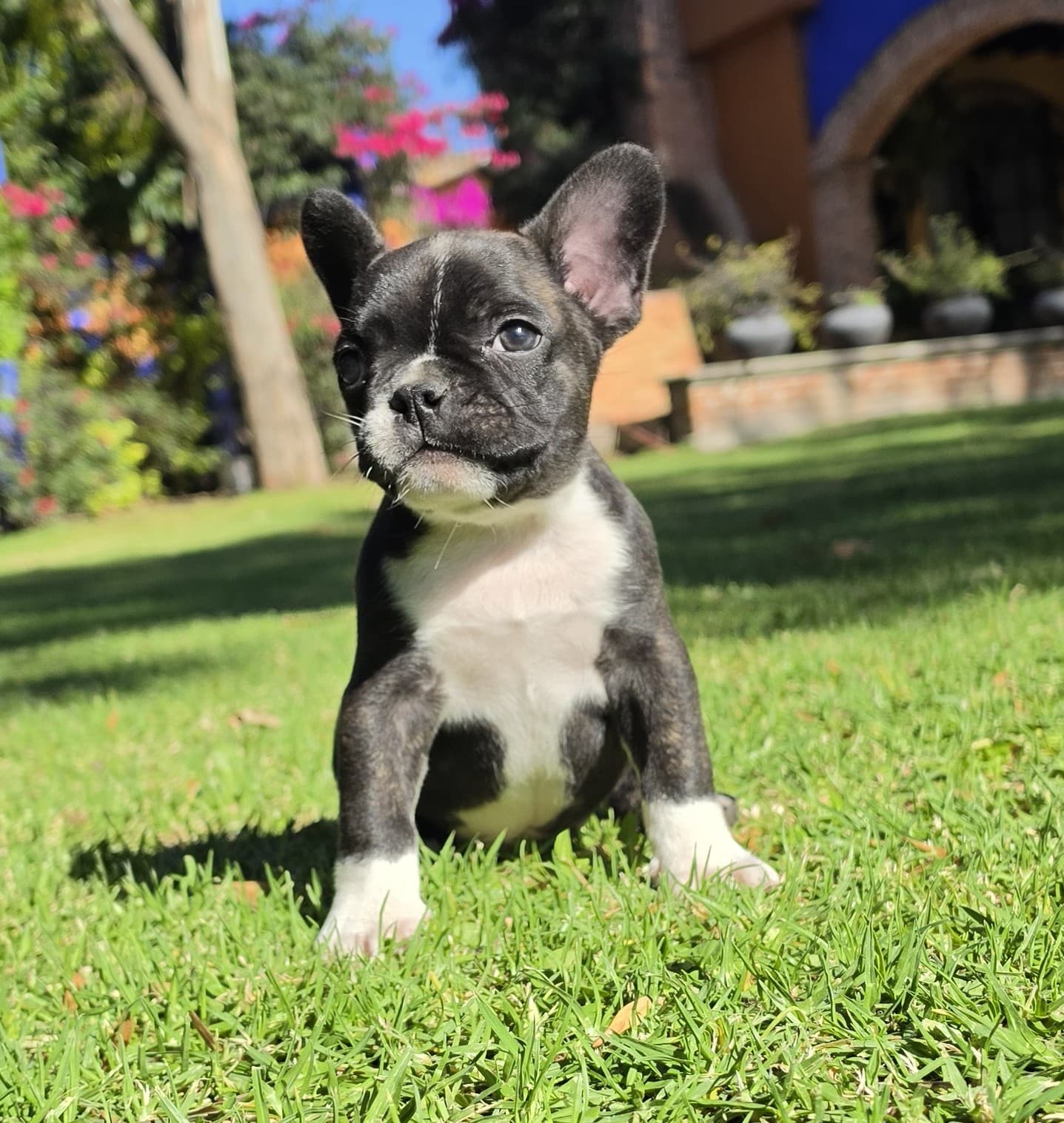 Boots — semana 8